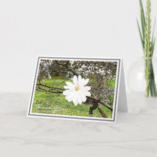 Cartão Bright White Star Magnolia Against Foliage