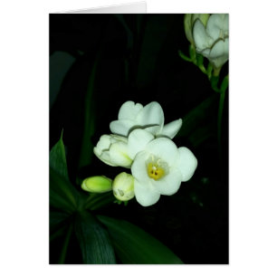 Cartão brilhando no escuro