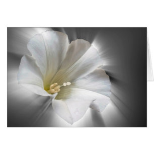 Cartão Brilhando no escuro