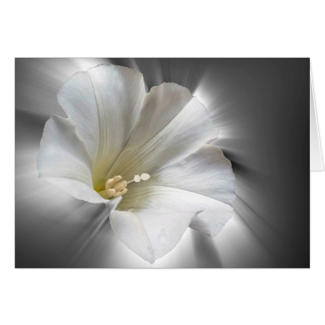 Cartão Brilhando no escuro (Frente Horizontal)