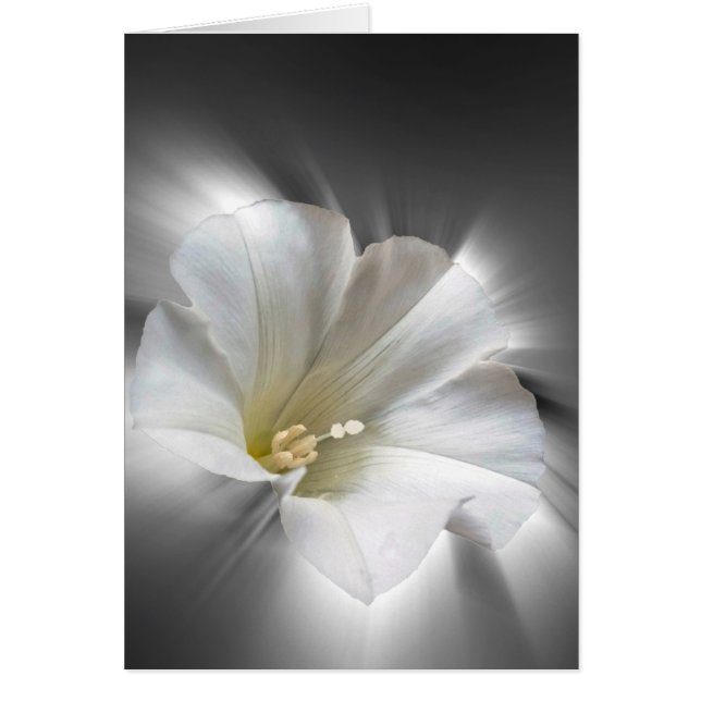 Cartão Brilhando no escuro (Frente)