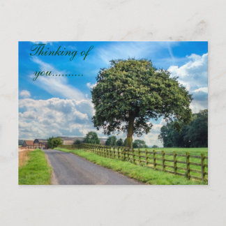 Cartão brilhante da árvore