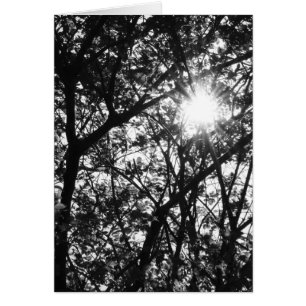 Cartão Brilho completamente