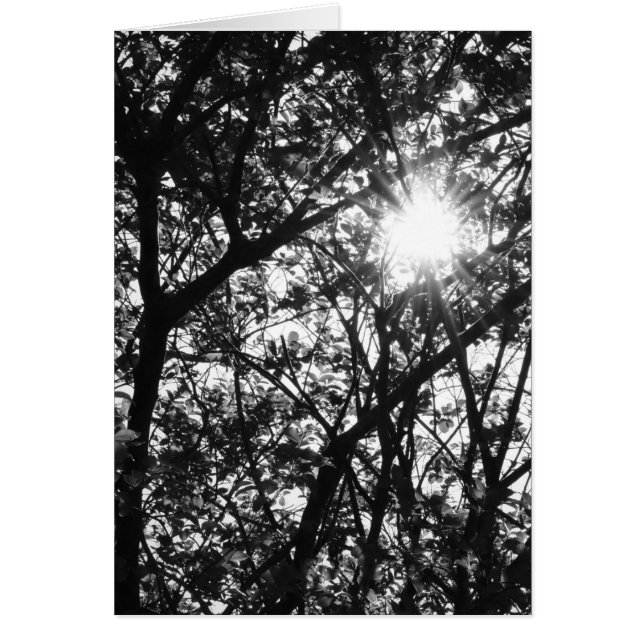 Cartão Brilho completamente (Frente)