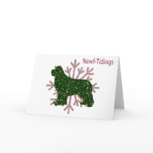 Brilho de Novas Notícias