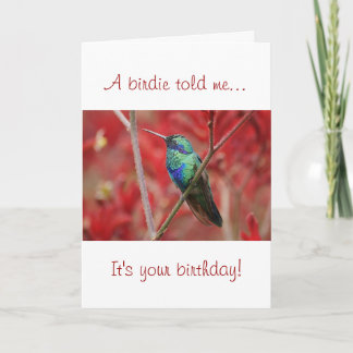 Cartão Brilho Iridescente