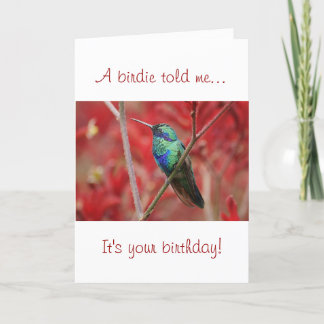 Cartão Brilho Iridescente