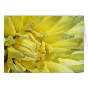 Cartão Brilho, Lemon Yellow Dahlia