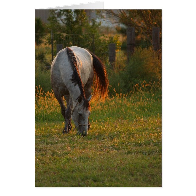 Cartão Brilho Quente (Frente)