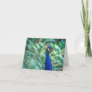 Cartão Brilliance in Blue & Green Peacock Note Cards