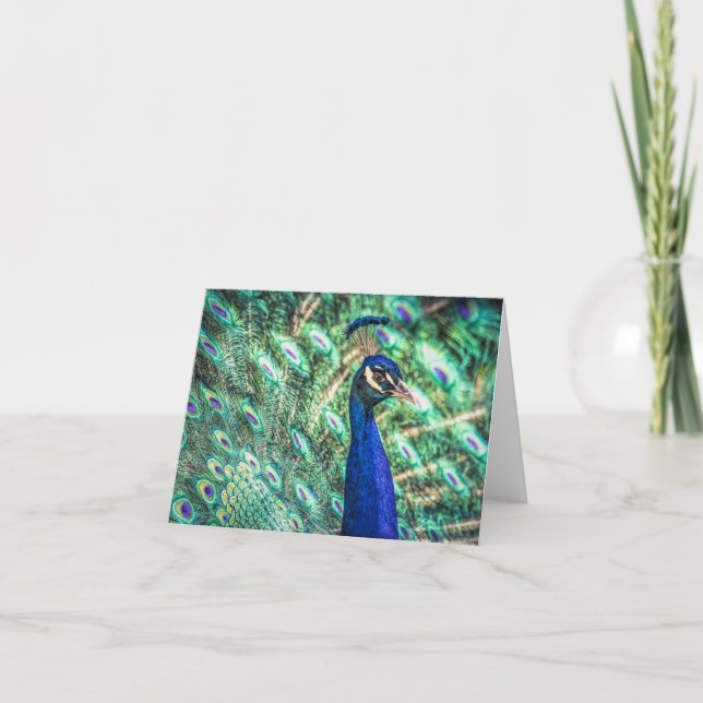 Cartão Brilliance in Blue & Green Peacock Note Cards (Frente)