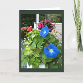 Cartão Brilliant Blue Morning Glories Blank 
