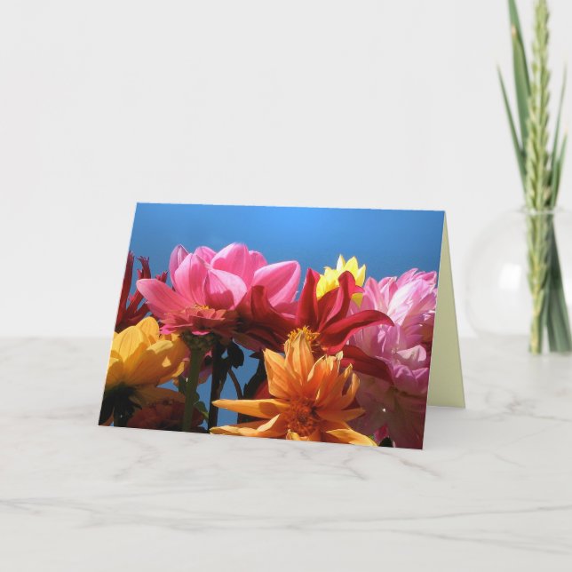 Cartão Brilliant Dahlias Mother's Day (Frente)