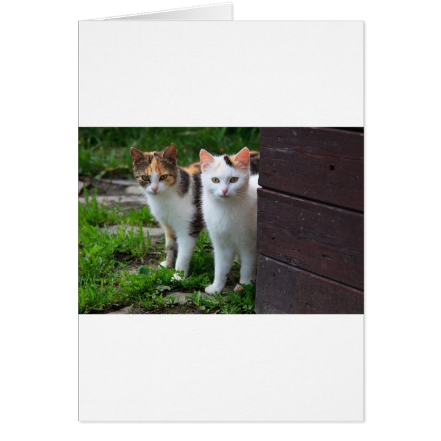 Cartão Brincadeira (Frente)