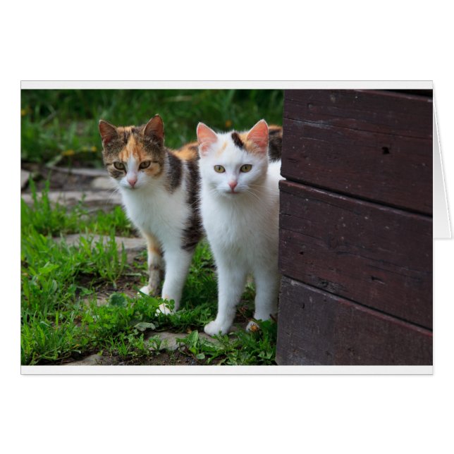 Cartão Brincadeira (Frente Horizontal)