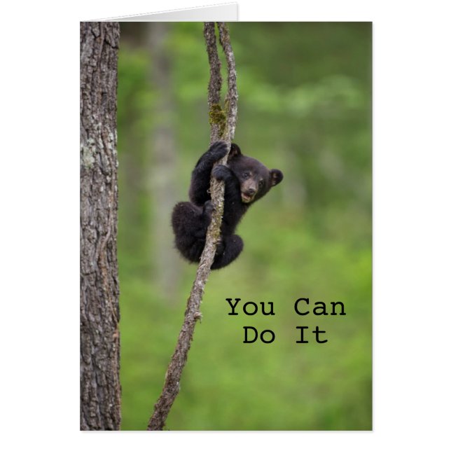 Cartão Brincadeira de urso preto no Tennessee (Frente)