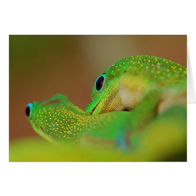 Cartão Brincadeira Romântica Do Lado Selvagem (Frente horizontal)