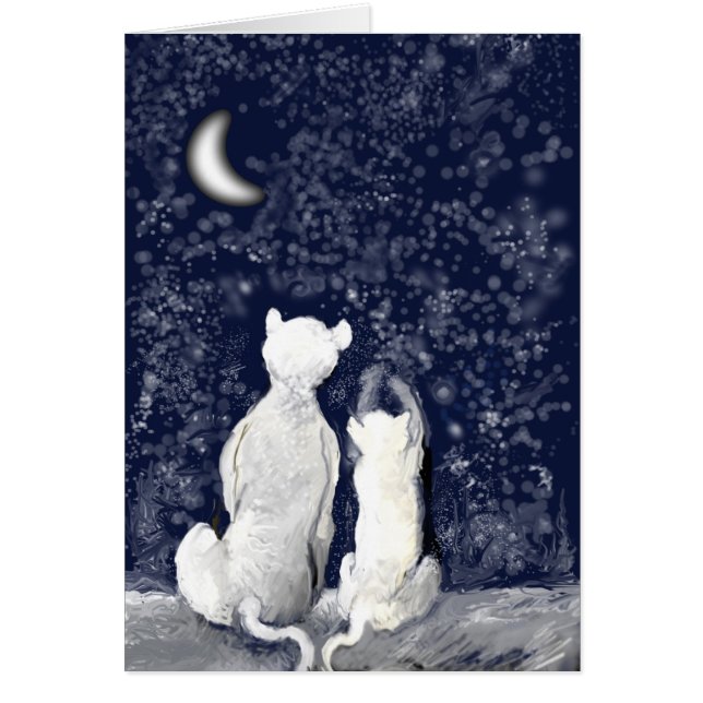 Cartão Brincando com Estrelas (Frente)