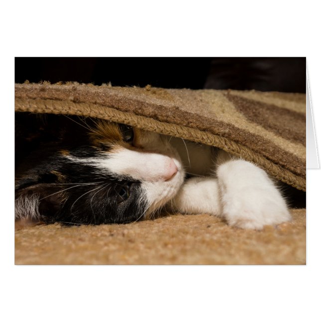 Cartão Brincando Sob O tapete (Frente horizontal)