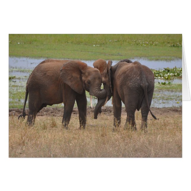 Cartão Brincar ao redor (Frente Horizontal)