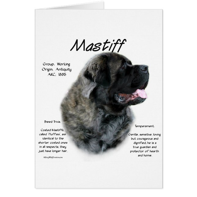 Cartão Brindle Fluffy Mastiff Histórico (Frente)