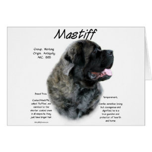 Cartão Brindle Fluffy Mastiff Histórico