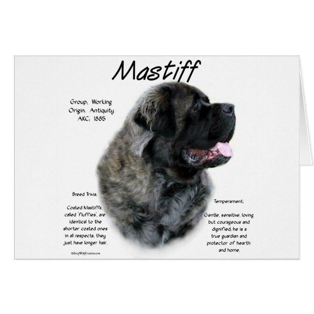 Cartão Brindle Fluffy Mastiff Histórico (Frente Horizontal)