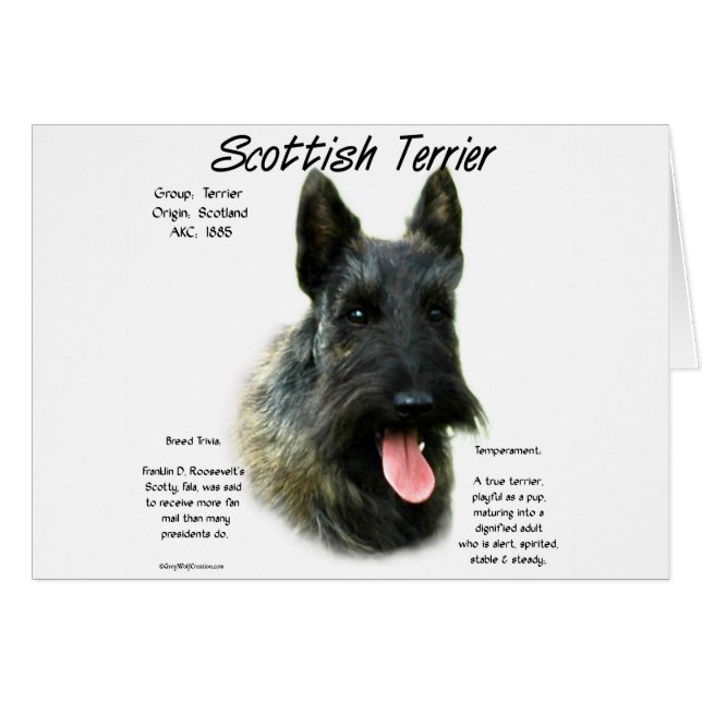 Cartão Brindle Scottish Terrier History (Frente Horizontal)