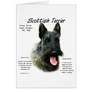 Cartão Brindle Scottish Terrier History