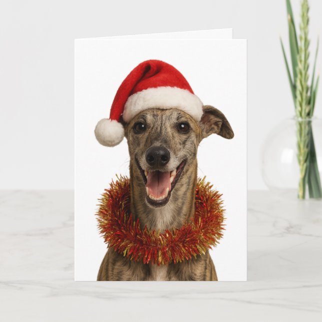 Cartão Brindle whippet in a Santa hat Christmas card (Frente)