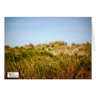 Cartão Brisa de mar (5,0)