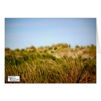 Cartão Brisa de mar (5,0)