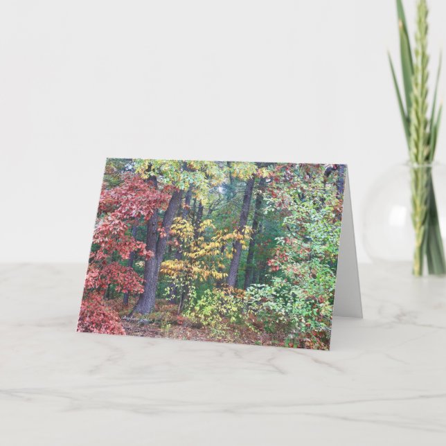 Cartão Brister's Hill, Concord MÃE (Frente)