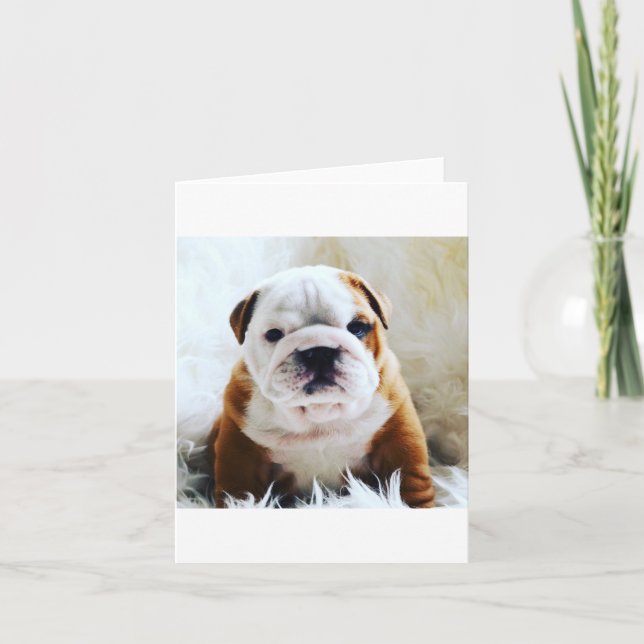 Cartão British bulldog blank card (Frente)
