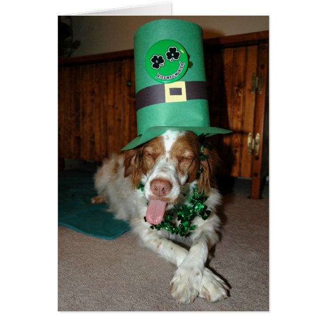 CARTÃO BRITNEY O'STOCK (Frente)