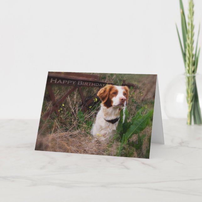 Cartão Brittany Birthday Card (Frente)