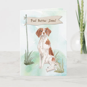 Cartão Brittany Feel Better After Surgery to Dog