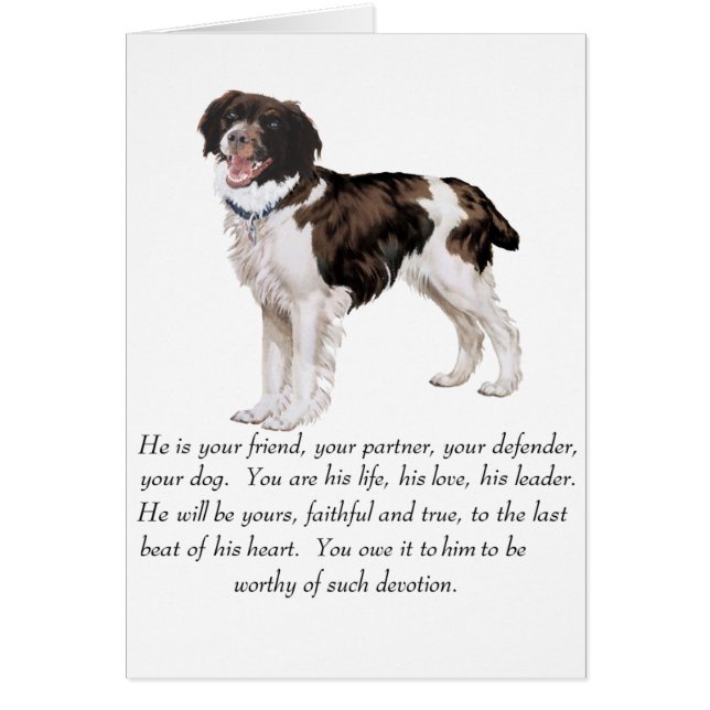 Cartão Brittany Keepsaac - Cachorro Masculino (Frente)