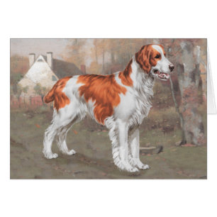 Cartão Brittany no Campo