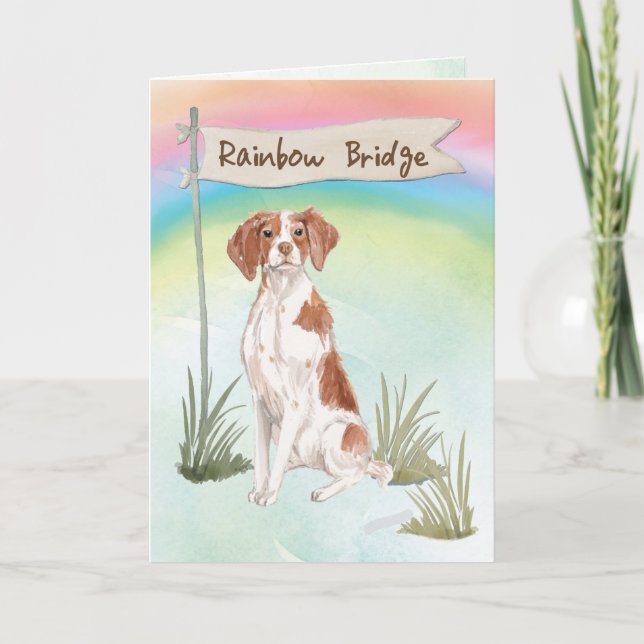 Cartão Brittany Pet Sympathy Over Rainbow Bridge (Frente)