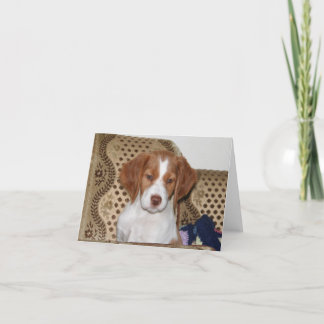 Cartão Brittany Puppy Notecard