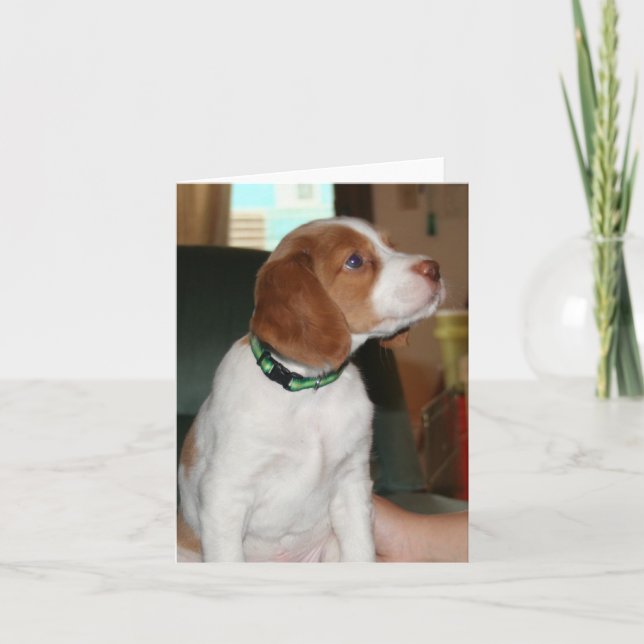 Cartão Brittany Puppy Notecard (Frente)