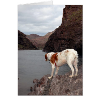 CARTÃO BRITTANY SOBRE O RIO COLORADO