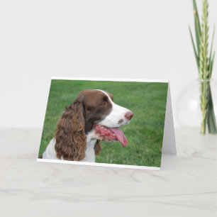 Cartão Brittany Spaniel