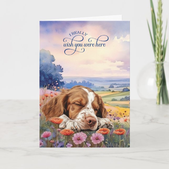 Cartão Brittany Spaniel Dog Wildflowers Miss You (Frente)