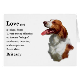 Cartão Brittany Spaniel Gifts