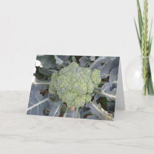 Cartão Broccoli Greeting Card