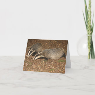 Cartão Brockwatch badger greetings card