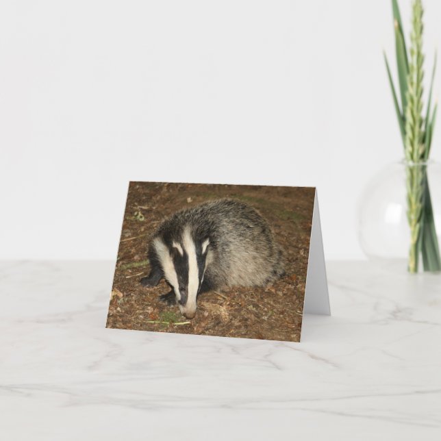 Cartão Brockwatch badger greetings card (Frente)
