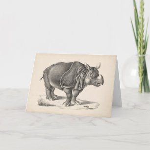 Cartão Brodtmann Rhinoceros Sketch